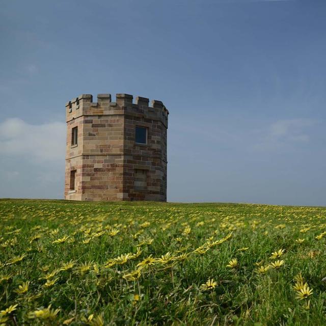 建筑学都学些什么？