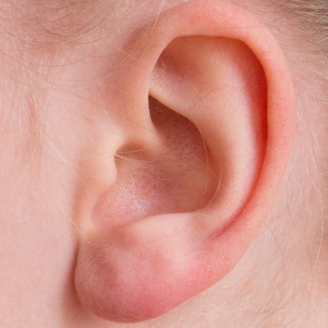 人的听觉系统是怎样对声音进行定位的？