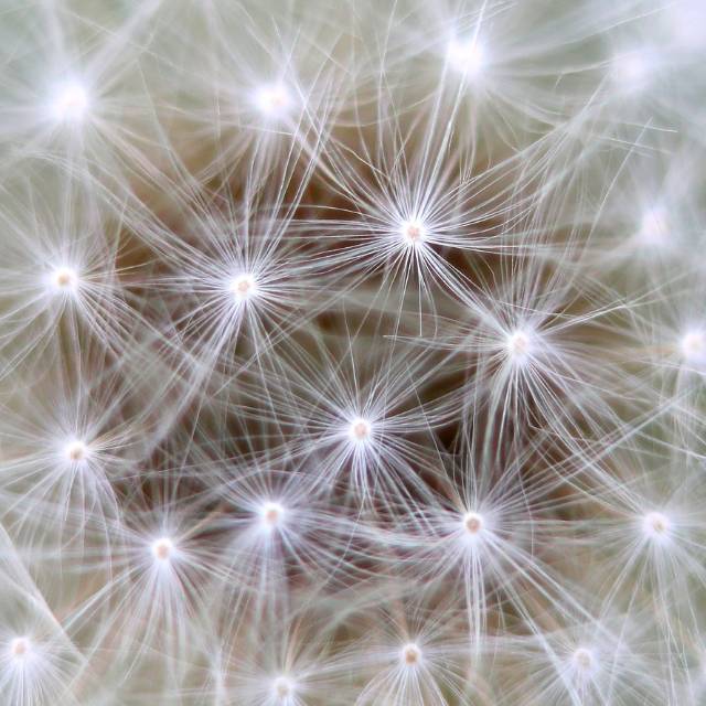 粒子遵循物理规律，人类由粒子组成，那人的未来是不是可以提前预测？