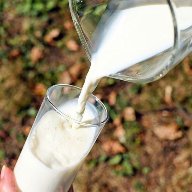 教授在微博上说喝牛奶会导致「人的牛化」，这怕是在逗我