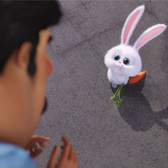 每周一吸 · 曾经流浪的小可爱