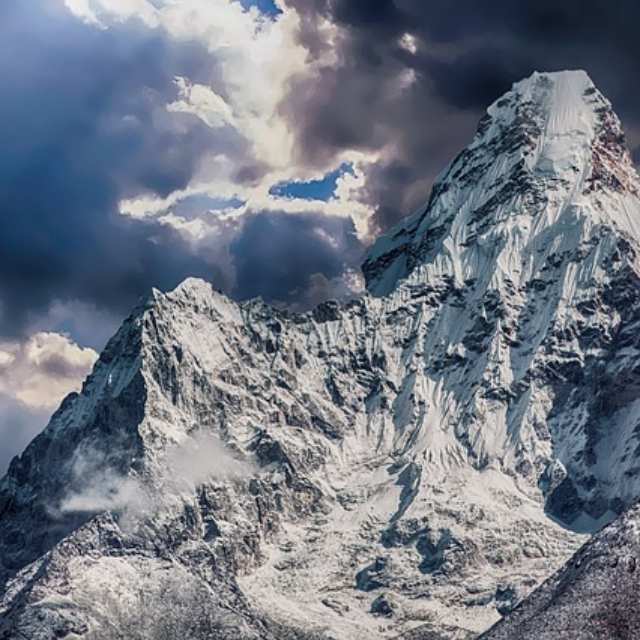 2017 年，他们永远地离开了我们，留在了那山野中