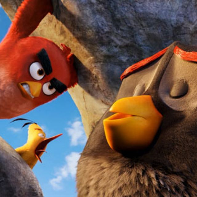 鸟的耳朵去哪里了？