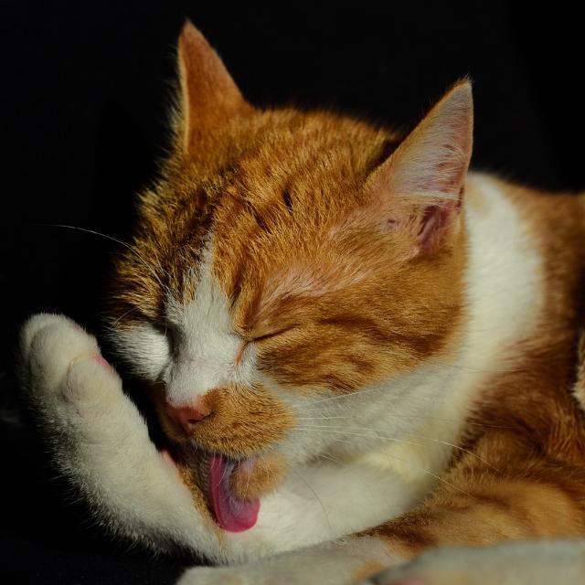 正确的洗脸方法应该是怎样的？