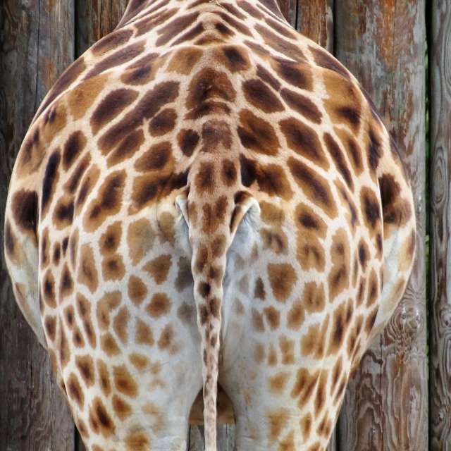 瞎扯 · 如何正确地吐槽