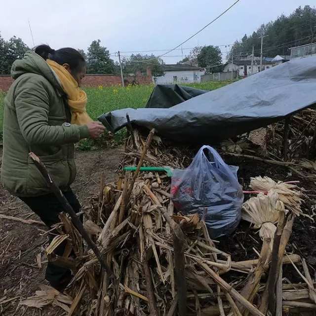 小事 · 地震后，北川的「妈妈农场」