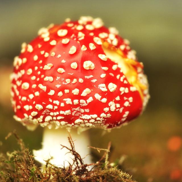 瞎扯 · 如何正确地吐槽