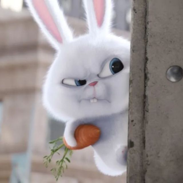 兔兔那么可爱，怎么就成了「邪恶化身」？