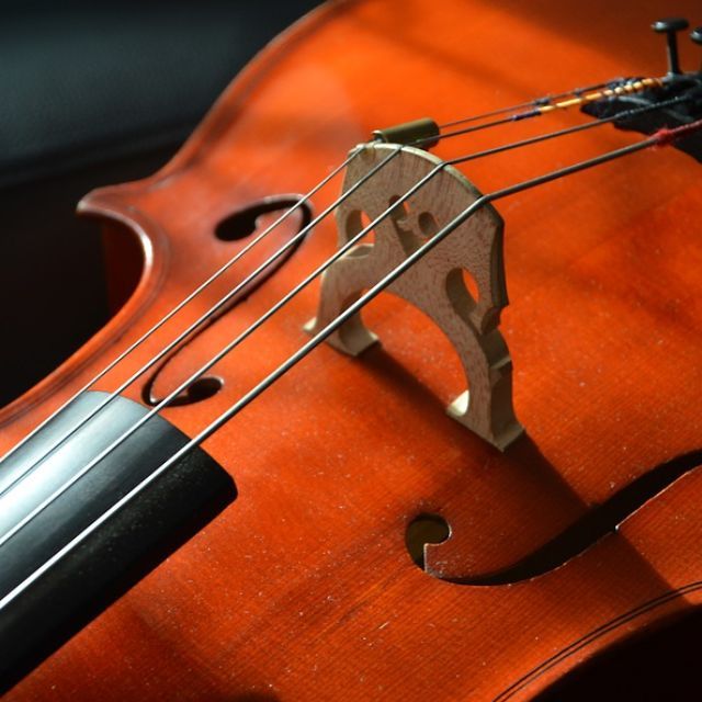 有哪些很离奇的真实案件？